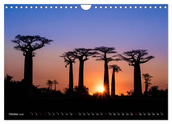 Produktbild: Madagaskar - Impressionen von Rolf Dietz (Wandkalender 2026 DIN A4 quer), CALVENDO Monatskalender