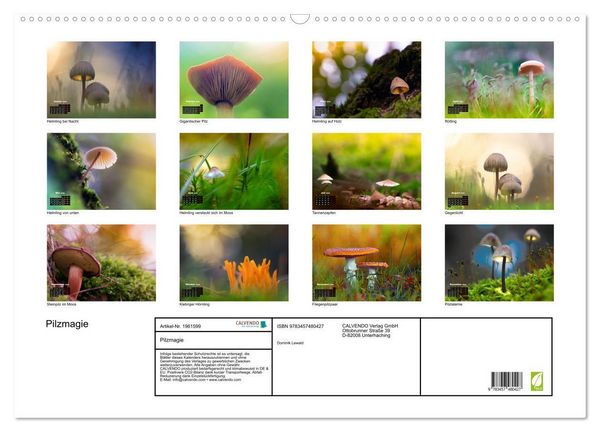 Produktbild: Pilzmagie (Wandkalender 2026 DIN A2 quer), CALVENDO Monatskalender