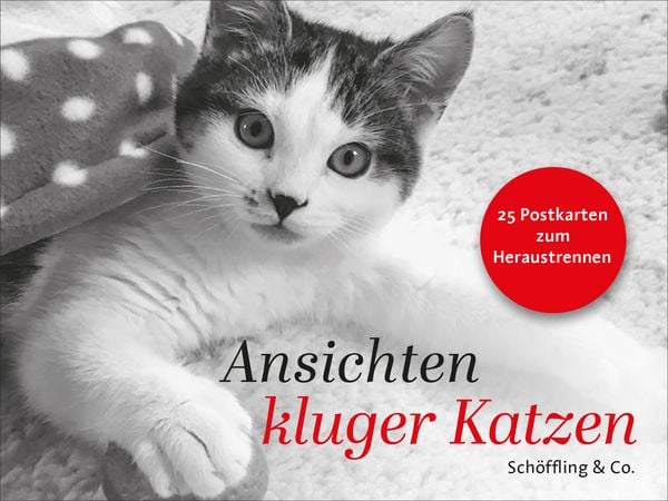 Produktbild: Ansichten kluger Katzen