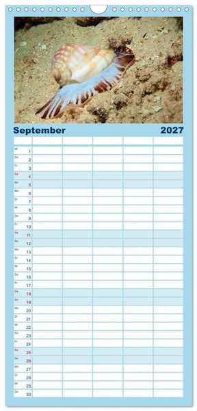 Produktbild: Familienplaner 2027 - Meeres-Schnecken mit 5 Spalten (Wandkalender, 21 x 45 cm) CALVENDO