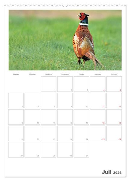 Produktbild: Rehe & Co / Planer (hochwertiger Premium Wandkalender 2026 DIN A2 hoch), Kunstdruck in Hochglanz