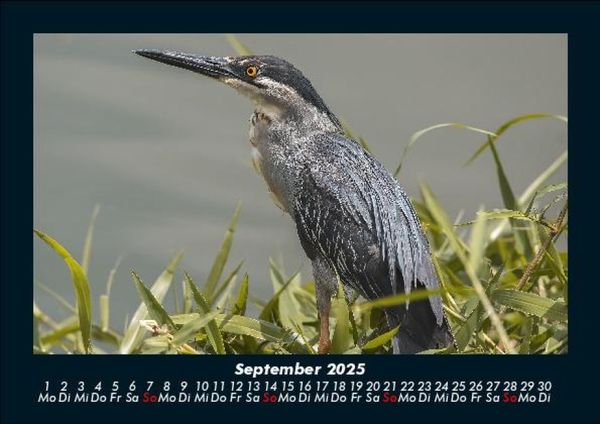 Produktbild: Natur 2025 Fotokalender DIN A5