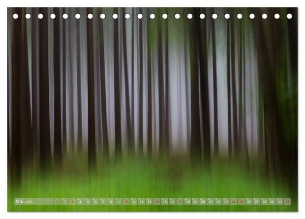 Produktbild: Atelier Wald - gemalt mit Licht (Tischkalender 2026 DIN A5 quer), CALVENDO Monatskalender