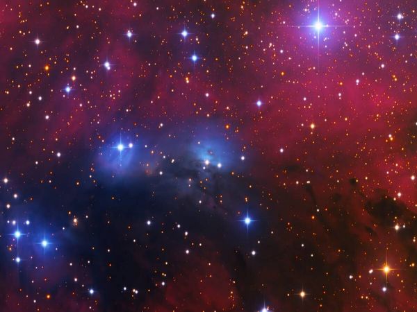 Produktbild: CALVENDO Puzzle NGC 6914 in Cygnus | 1000 Teile Lege-Gr&ouml;&szlig;e 64x48cm Foto-Puzzle f&uuml;r gl&uuml;ckliche Stunden