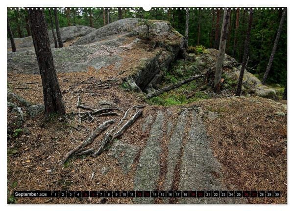 Produktbild: Tiveden, der NatURWALD in Schweden (hochwertiger Premium Wandkalender 2026 DIN A2 quer), Kunstdruck in Hochglanz