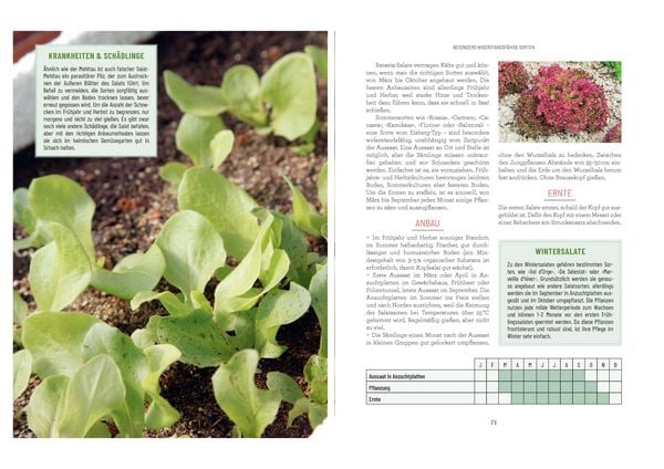 Produktbild: Der Survival-Garten - Gem&uuml;se- und Obstsorten, die allen Widrigkeiten trotzen