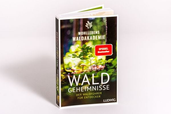 Produktbild: Waldgeheimnisse