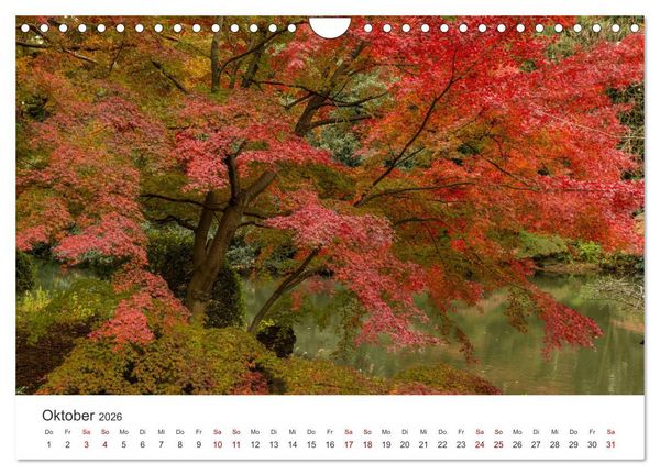 Produktbild: Japanischer Herbst und Laub (Wandkalender 2026 DIN A4 quer), CALVENDO Monatskalender