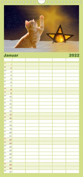 Produktbild: Familienplaner K&auml;tzchen 2022 (Wandkalender 2022 , 21 cm x 45 cm, hoch)