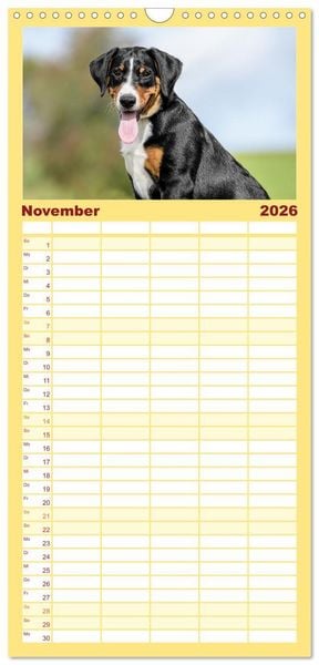 Produktbild: Familienplaner 2026 - Appenzeller Sennenhunde - Fr&ouml;hliche Kameraden mit 5 Spalten (Wandkalender, 21 x 45 cm) CALVENDO