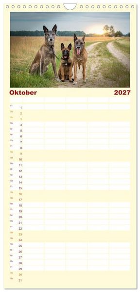 Produktbild: Familienplaner 2027 - Traumhund Malinois mit 5 Spalten (Wandkalender, 21 x 45 cm) CALVENDO