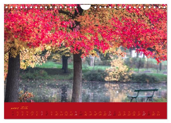 Produktbild: Un automne au Bois (Calendrier mural 2026 DIN A4 vertical), CALVENDO calendrier mensuel