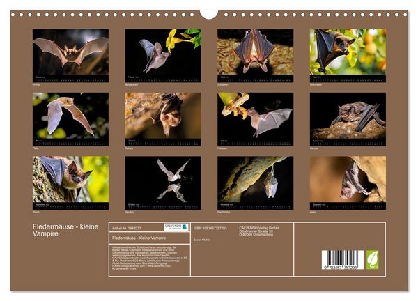 Produktbild: Flederm&auml;use - kleine Vampire (Wandkalender 2026 DIN A3 quer), CALVENDO Monatskalender