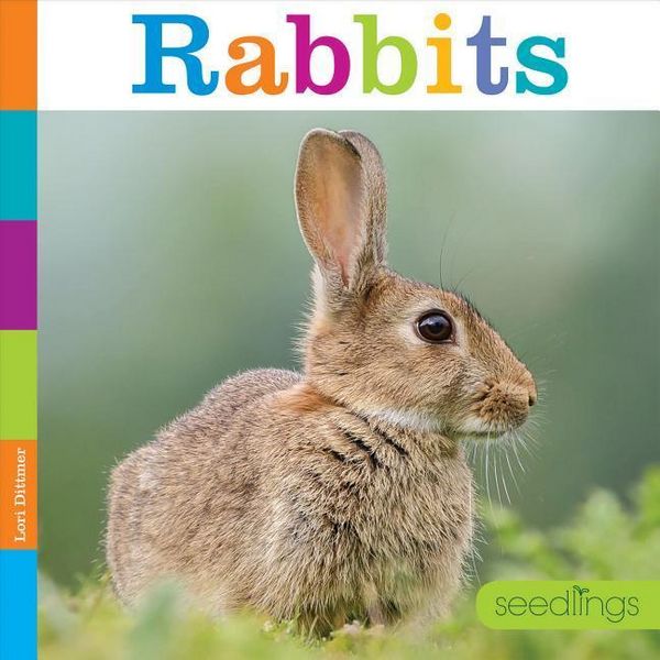 Produktbild: Rabbits