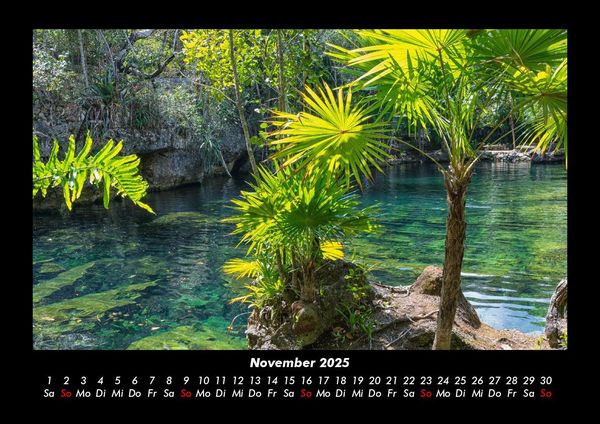 Produktbild: Palmentraum 2025 Fotokalender DIN A3