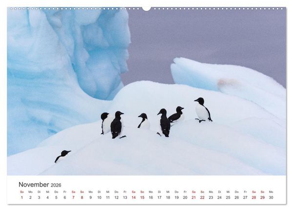 Produktbild: Naturparadies Svalbard (Wandkalender 2026 DIN A2 quer), CALVENDO Monatskalender