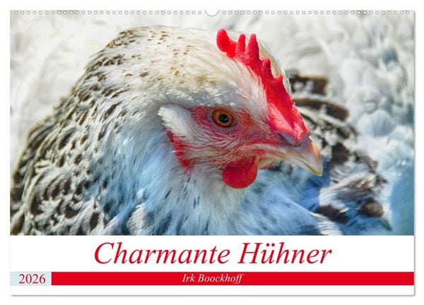 Produktbild: Charmante H&uuml;hner (Wandkalender 2026 DIN A2 quer), CALVENDO Monatskalender