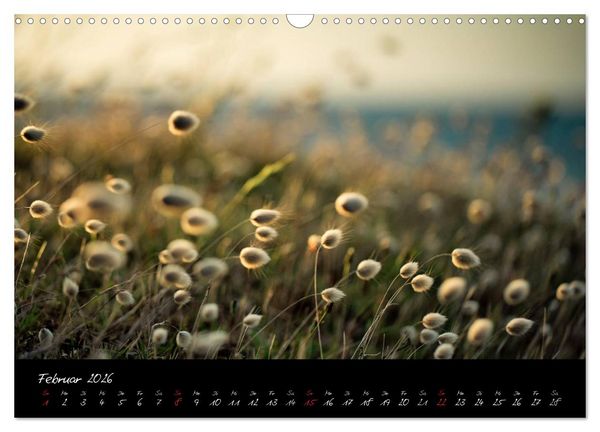 Produktbild: Frankreich Bretagne (Wandkalender 2026 DIN A3 quer), CALVENDO Monatskalender