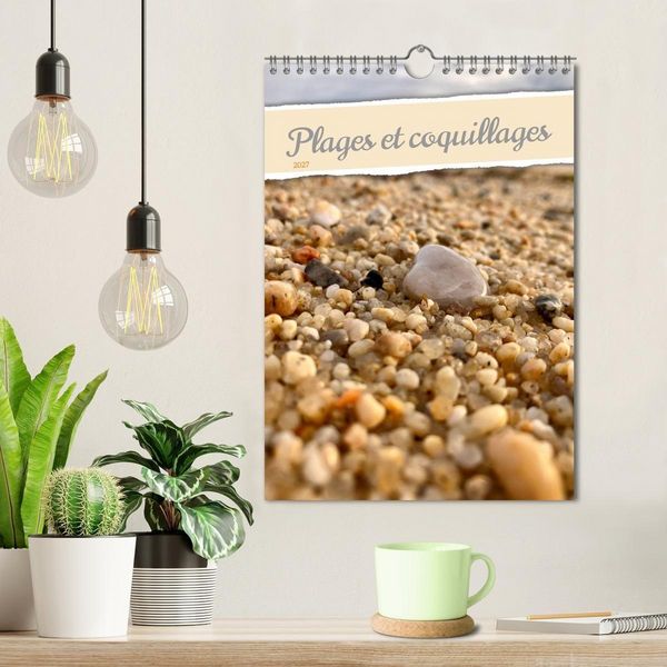 Produktbild: Plages et coquillages (Calendrier mural 2027 DIN A4 horizontal), CALVENDO calendrier mensuel