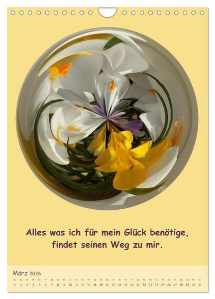Produktbild: Meditative Natur (Wandkalender 2026 DIN A4 hoch), CALVENDO Monatskalender