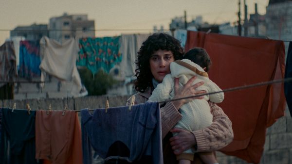 Produktbild: Im Schatten des Orangenbaums