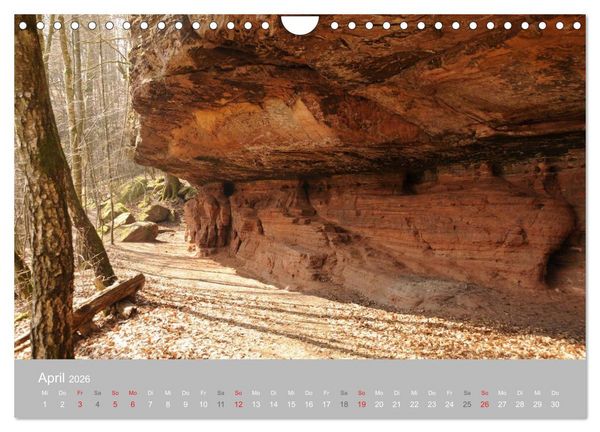 Produktbild: Felsen im Pf&auml;lzer Wald (Wandkalender 2026 DIN A4 quer), CALVENDO Monatskalender