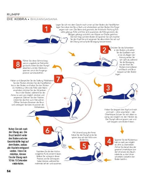 Produktbild: YOGA - Atlas der Anatomie
