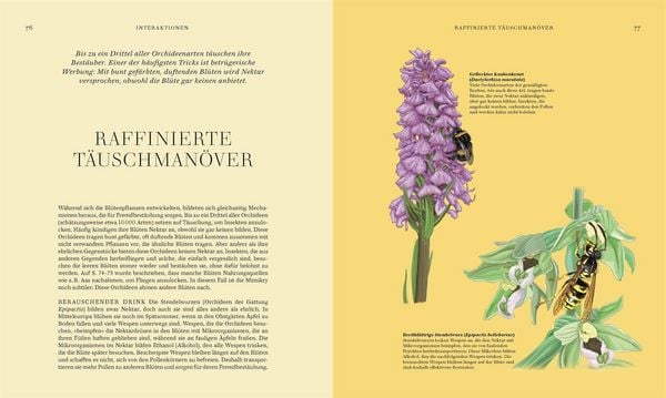 Produktbild: Wildpflanzen