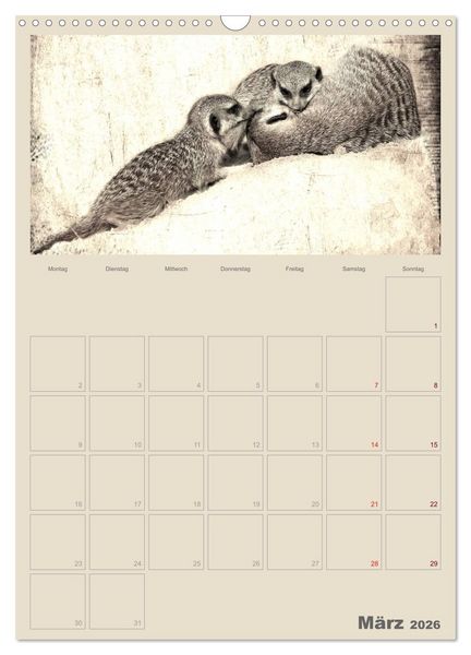 Produktbild: Lustige Erdm&auml;nnchen (Wandkalender 2026 DIN A3 hoch), CALVENDO Monatskalender