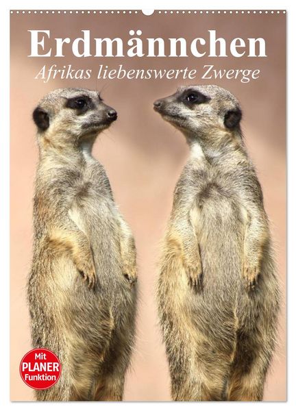 Erdmännchen - Afrikas liebenswerte Zwerge (Wandkalender 2026 DIN A2 hoch), CALVENDO Monatskalender