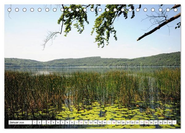 Produktbild: Naturlandschaft Laacher See (Tischkalender 2026 DIN A5 quer), CALVENDO Monatskalender