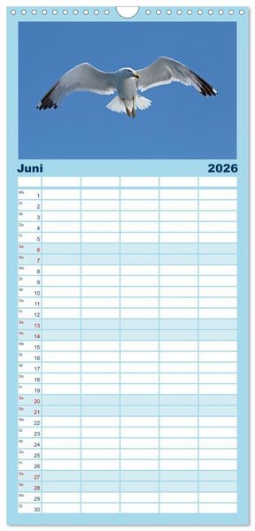 Produktbild: Familienplaner 2026 - V&ouml;gel im Flug - Akrobaten der L&uuml;fte mit 5 Spalten (Wandkalender, 21 x 45 cm) CALVENDO