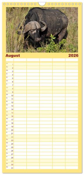 Produktbild: Familienplaner 2026 - S&uuml;dafrika - Big 5 und mehr mit 5 Spalten (Wandkalender, 21 x 45 cm) CALVENDO