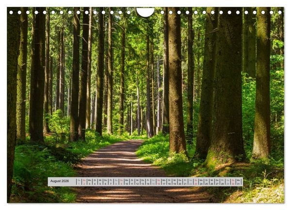 Produktbild: Perlen des Westerwaldes (Wandkalender 2026 DIN A4 quer), CALVENDO Monatskalender