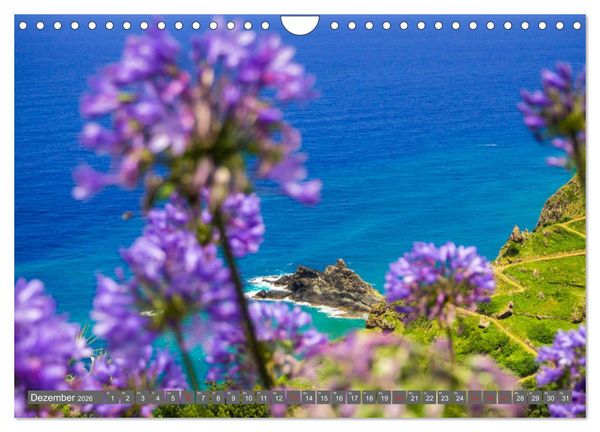 Produktbild: Madeira - Insel der Blumen 2026 (Wandkalender 2026 DIN A4 quer), CALVENDO Monatskalender