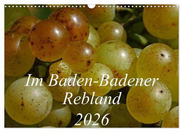 Produktbild: Im Baden-Badener Rebland 2026 (Wandkalender 2026 DIN A3 quer), CALVENDO Monatskalender