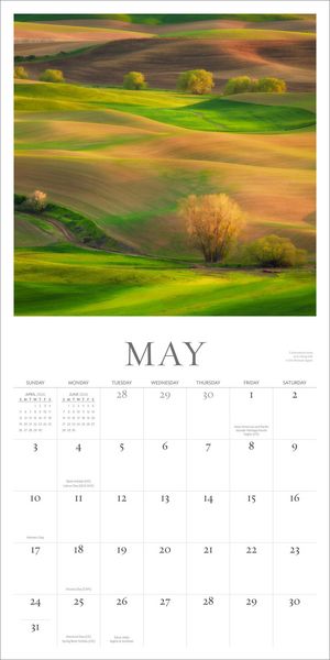 Produktbild: Washington Evergreen Wall Calendar 2026