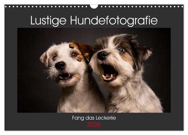 Produktbild: Fang das Leckerlie (Wandkalender 2026 DIN A3 quer), CALVENDO Monatskalender
