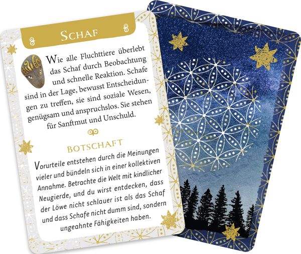 Produktbild: Das Rauhn&auml;chte-Orakel