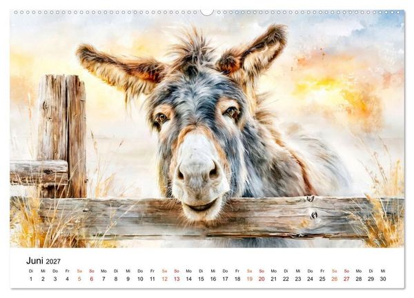 Produktbild: Esel - Wenn Ruhe ein Gesicht h&auml;tte (hochwertiger Premium Wandkalender 2027 DIN A2 quer), Kunstdruck in Hochglanz