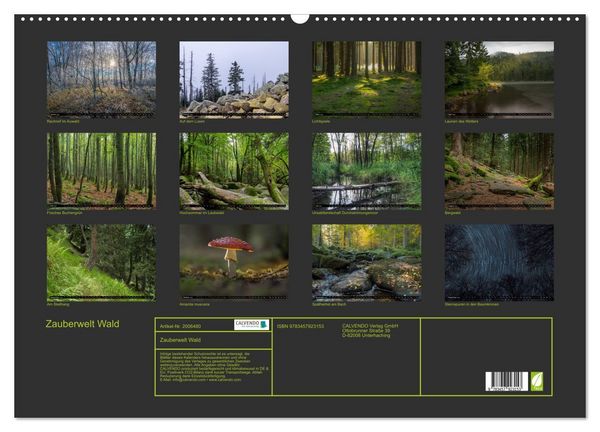 Produktbild: Zauberwelt Wald (Wandkalender 2026 DIN A2 quer), CALVENDO Monatskalender