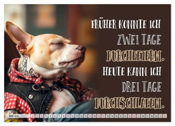 Produktbild: Wuffige Geburtstagsgr&uuml;&szlig;e SPR&Uuml;CHE ZUM &Auml;LTERWERDEN (Wandkalender 2026 DIN A2 quer), CALVENDO Monatskalender