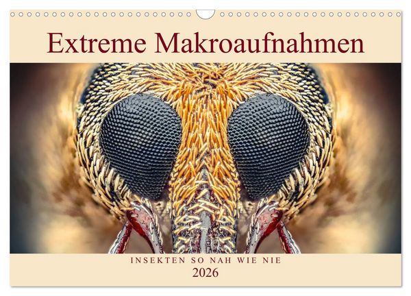 Produktbild: Extreme Makroaufnahmen - Insekten so nah wie nie (Wandkalender 2026 DIN A3 quer), CALVENDO Monatskalender