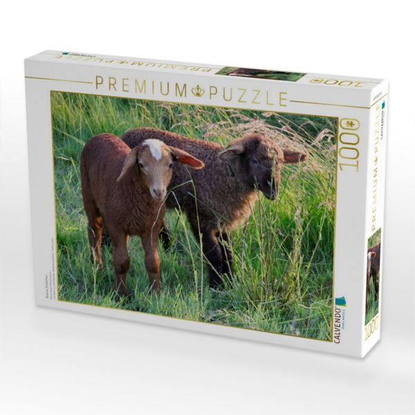 Produktbild: CALVENDO Puzzle Braune Sch&auml;fchen | 1000 Teile Lege-Gr&ouml;&szlig;e 64x48cm Foto-Puzzle f&uuml;r gl&uuml;ckliche Stunden