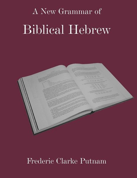 Produktbild: A New Grammar of Biblical Hebrew