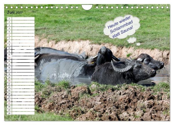 Produktbild: Wenn Tiere Sprechen k&ouml;nnten! Der lustige Spr&uuml;che Geburtstagskalender (Wandkalender 2027 DIN A4 quer), CALVENDO Monatskalender