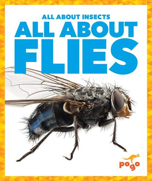 Produktbild: All about Flies