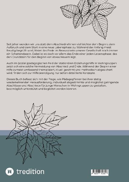 Produktbild: Abschluss und Abschied in den station&auml;ren Erziehungshilfen