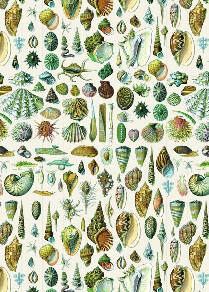 Produktbild: Natural History