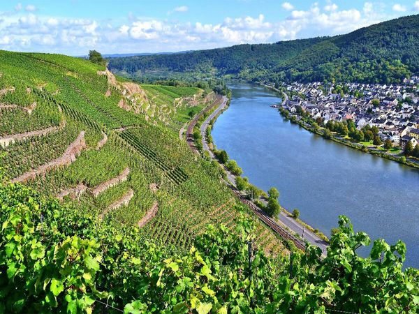 Produktbild: CALVENDO Puzzle Steillagen in Winningen an der Mosel | 1000 Teile Lege-Gr&ouml;&szlig;e 64x48cm Foto-Puzzle f&uuml;r gl&uuml;ckliche Stunden